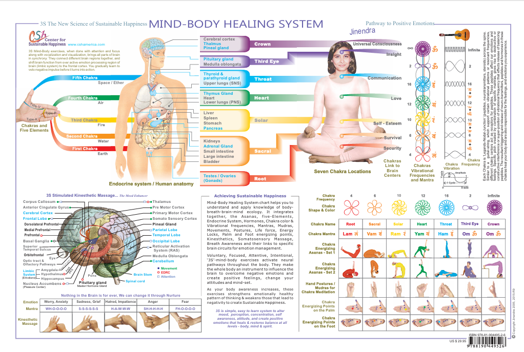 3S Mind-Body Healing System — chakra, endocrine, and brain map